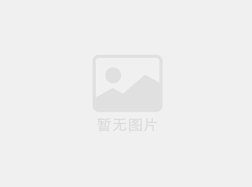 齿轮泵的分类和结构